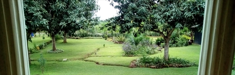 Ontdek Ghana vanaf veranda